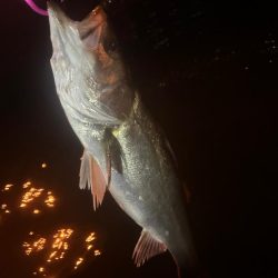 やっと秋爆を感じた