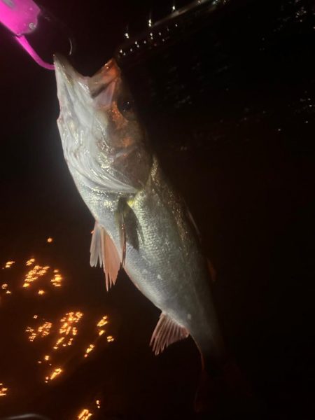 やっと秋爆を感じた