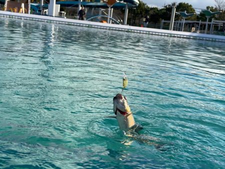 2023かめプーオープン