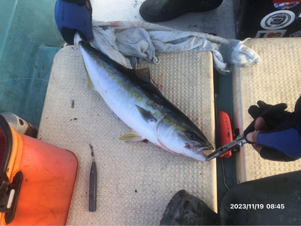 11/19 伊島沖ジギング