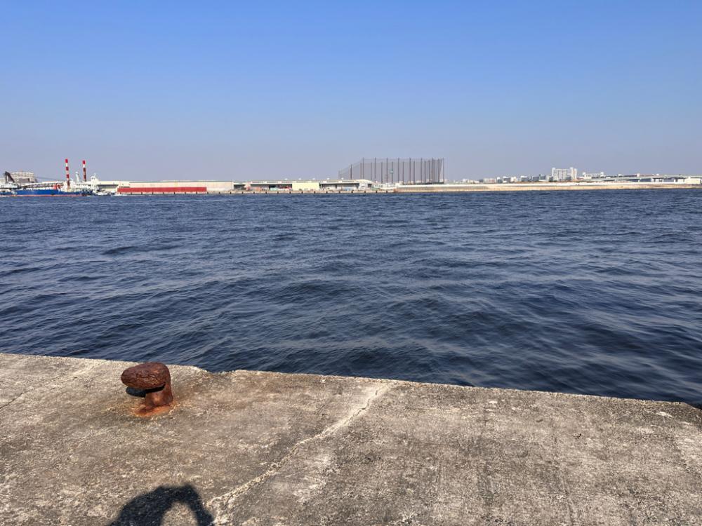 ボラが多すぎて。。