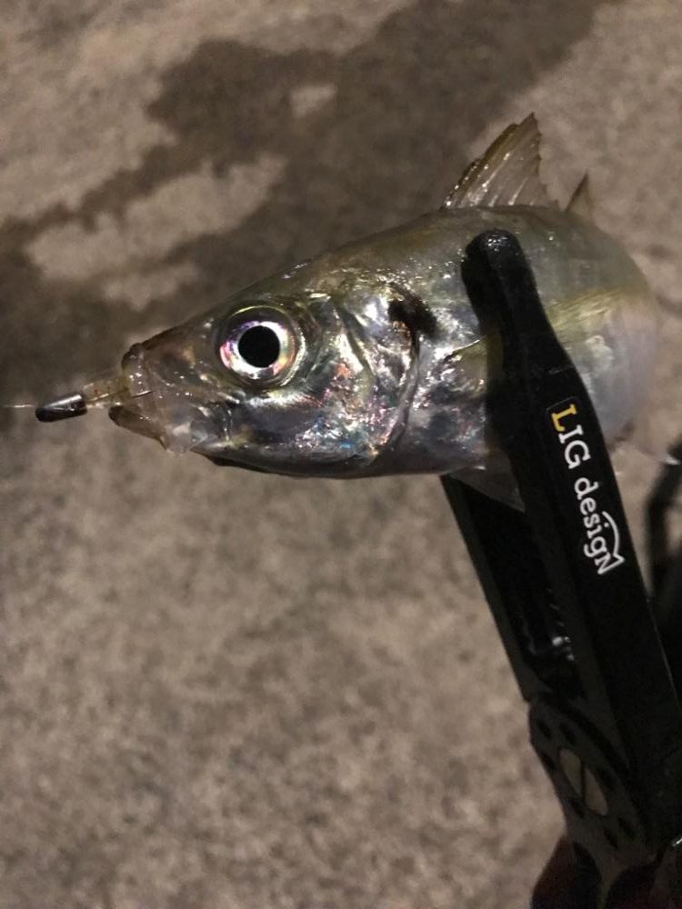 仕事終わりにPart2