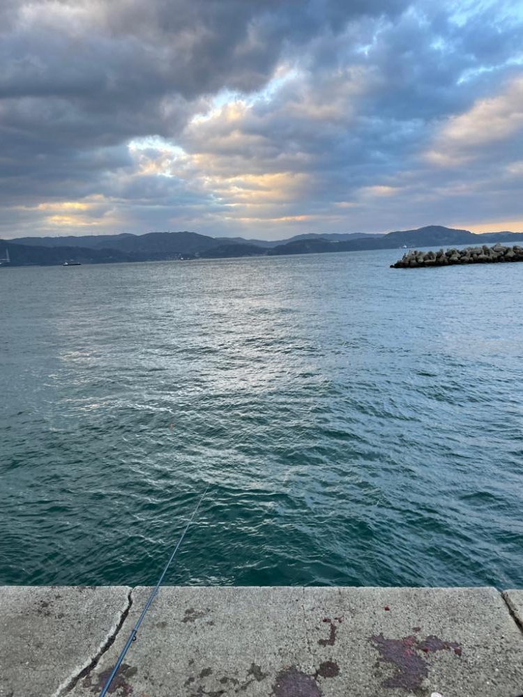 アジはサイズアップ、青物は厳しい