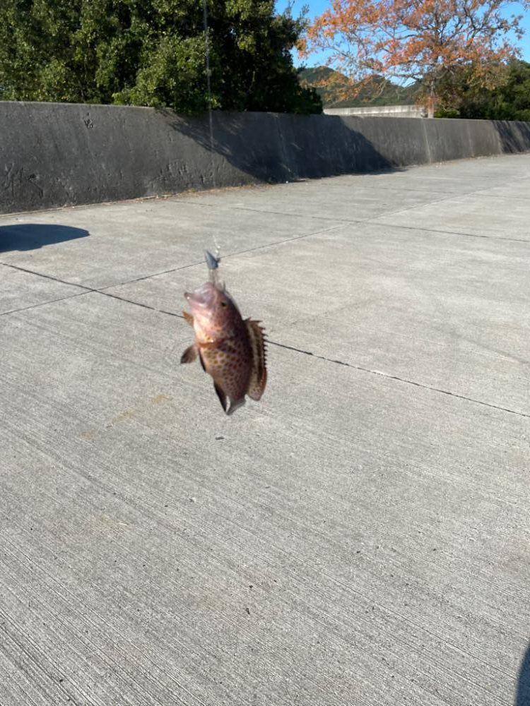 旅行先でライトゲーム