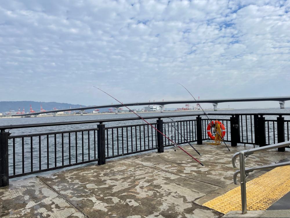 久しぶりに釣れました