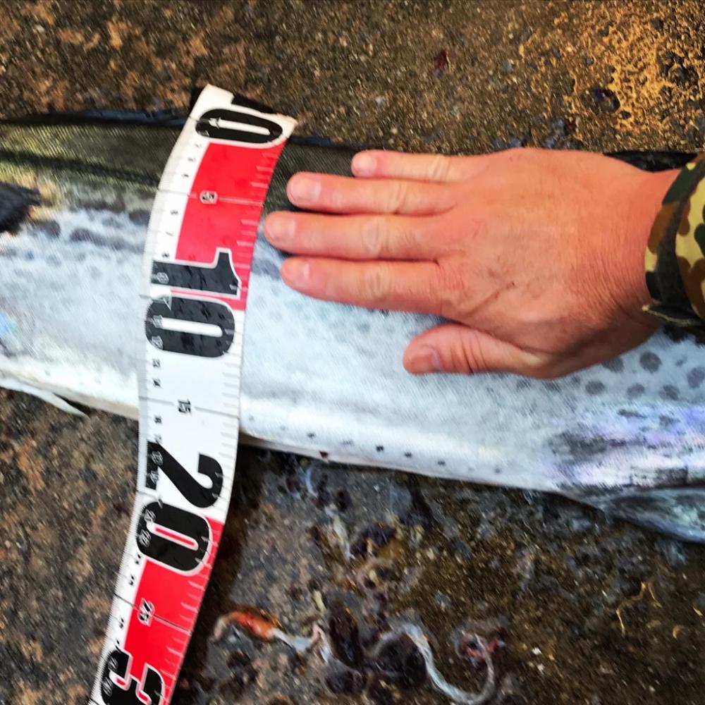 自己記録更新！コレぞ、海のチーター！