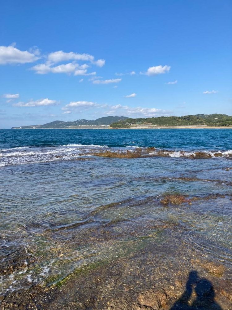 秋イカ!びっくり!キロオーバー!!