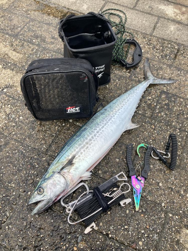 湾奥は北東強風。青牙マルチ。。