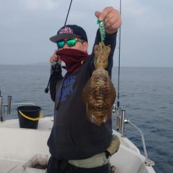 ラストティップラン