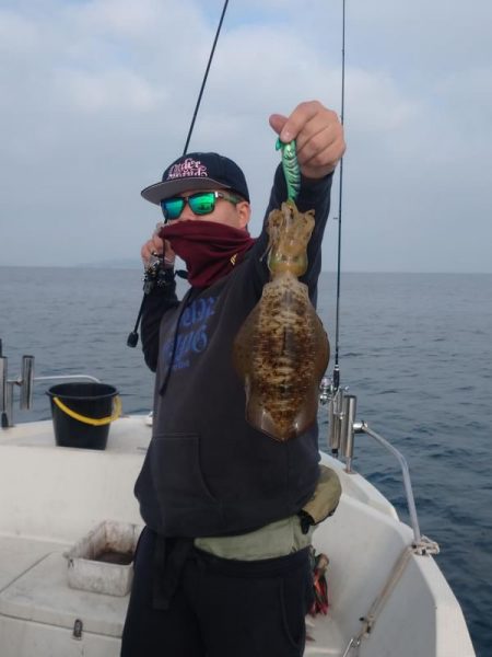 ラストティップラン