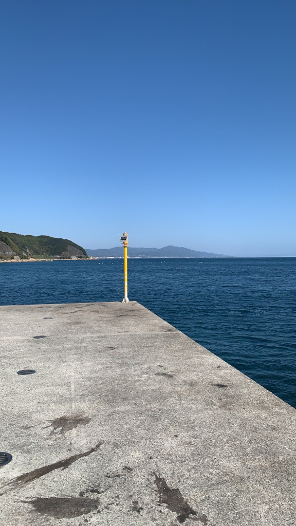 初めての淡路島ランガンエギングですが…