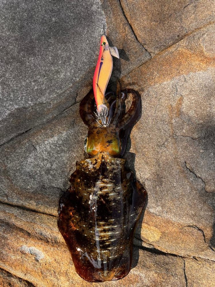 まだいけるぅ！