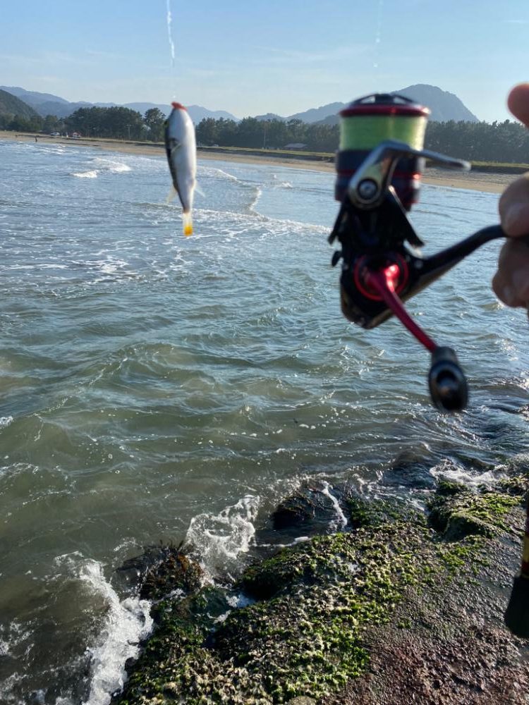 朝からノーターゲット釣行