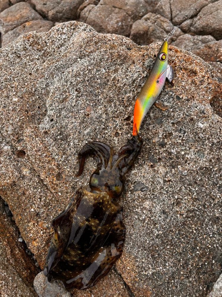 風強め、濁り強め…