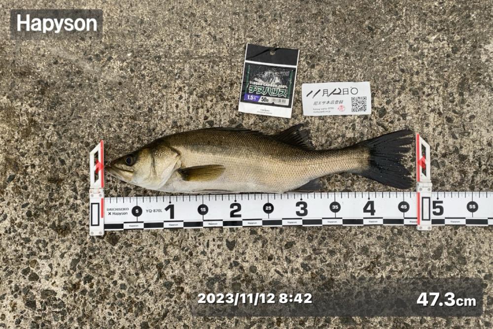 先日から冷え込み