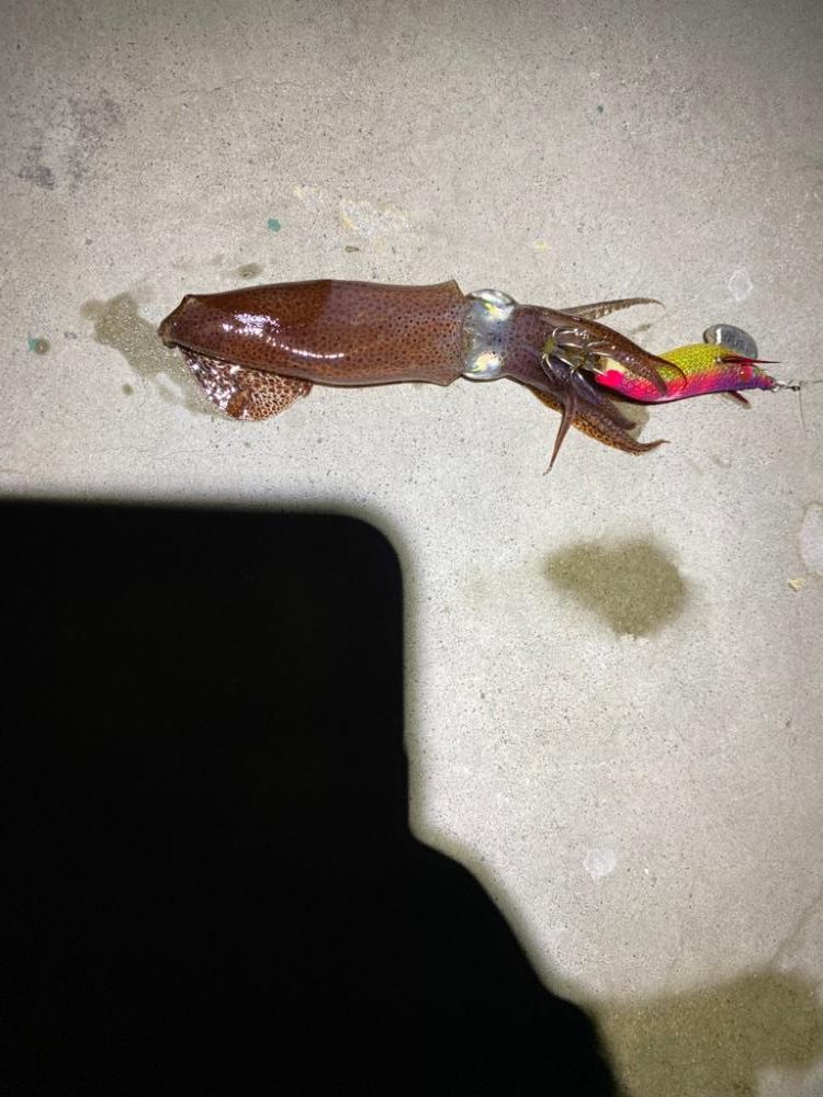 超絶爆風ライトゲーム