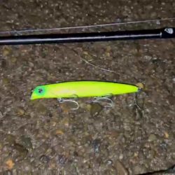 【リバーシーバス】