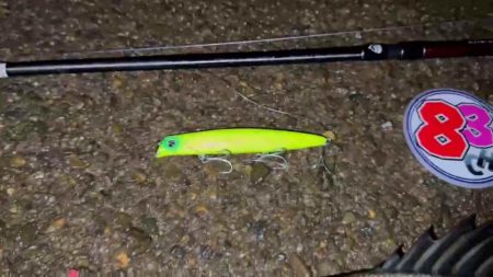 【リバーシーバス】