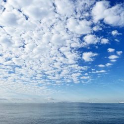 今日もキス釣り!上げ7分で良型ヒット