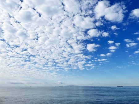 今日もキス釣り!上げ7分で良型ヒット