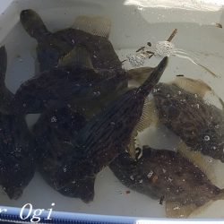 潮が動かず大苦戦