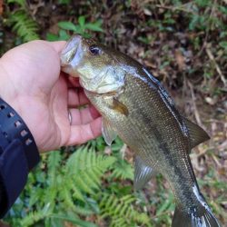 晩秋のクランキング