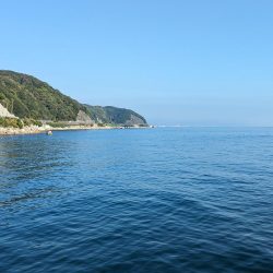 エギングとアジング