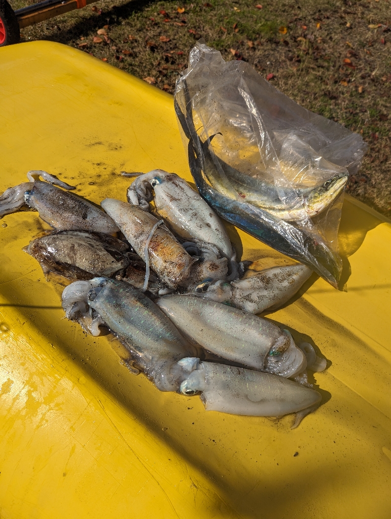 キロタリナーズ