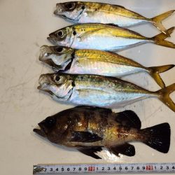 仕事終わりに🎣