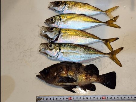 仕事終わりに🎣