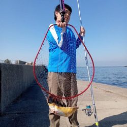 プチファミリーフィッシング GAME