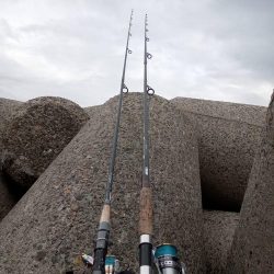 プチsalt water game