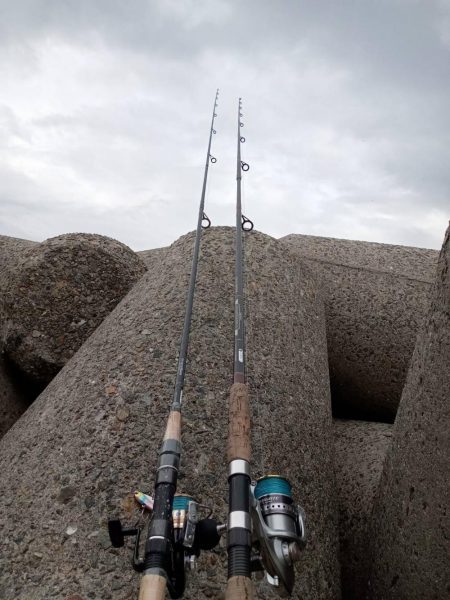 プチsalt water game