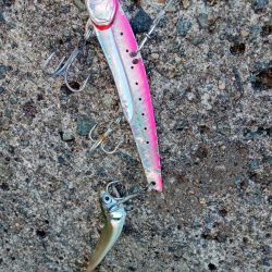 プチsalt water game