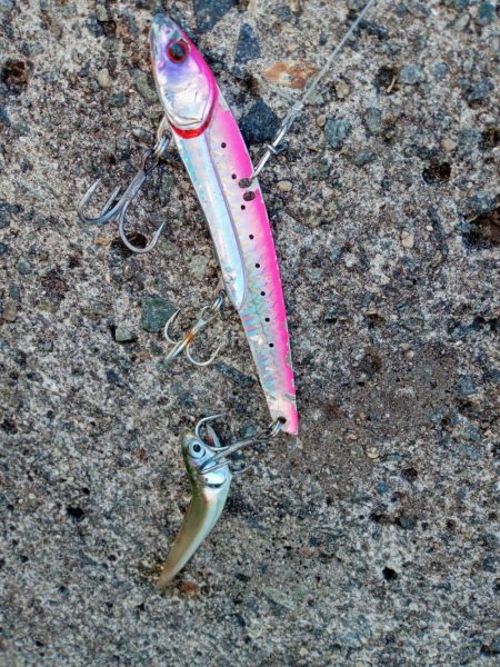 プチsalt water game