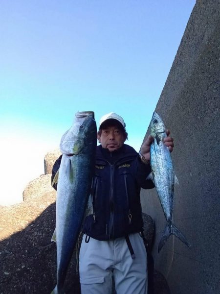 プチsalt water game