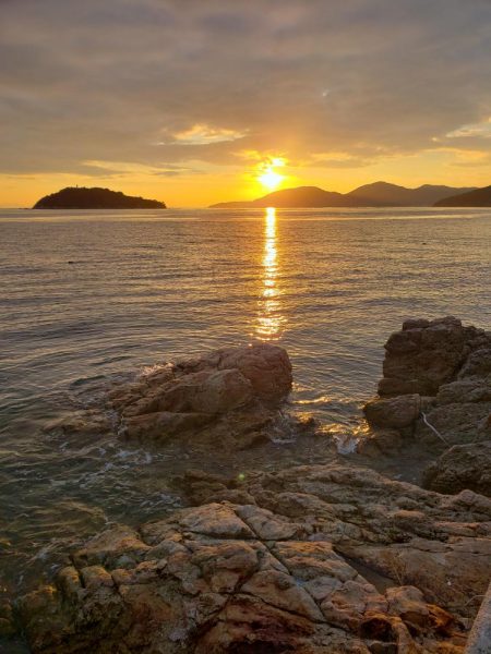 久しぶりの鰤属でした