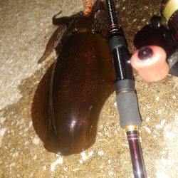 デイ＆ナイトエギングIN対馬