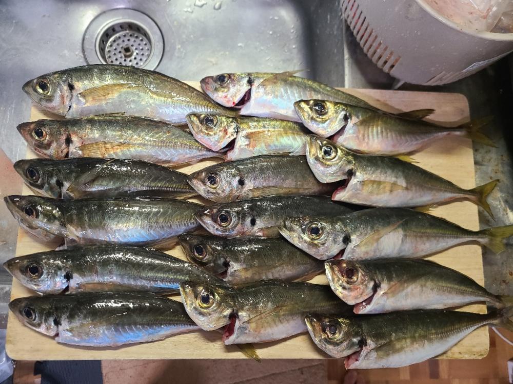 イベント更新に向けて🎵