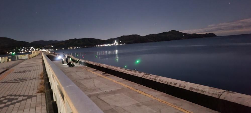 安定のマリーナシティ〜