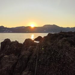 ロックフイッシュ＆シーバス