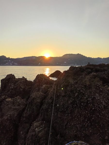 ロックフイッシュ＆シーバス