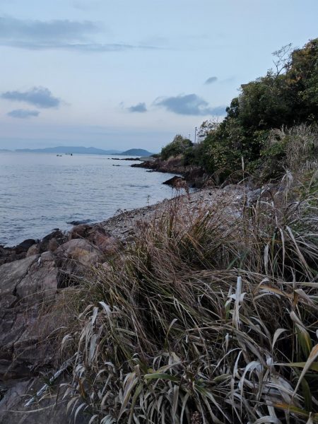 青物＆シーバス