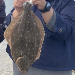 ざぶとんイシガレイ!