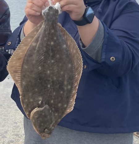 ざぶとんイシガレイ!