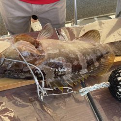 和歌山見老津（林渡船）で磯フカセ