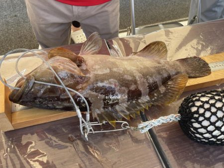 和歌山見老津（林渡船）で磯フカセ