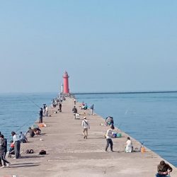 播磨新島の飲ませ釣り
