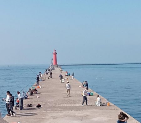 播磨新島の飲ませ釣り