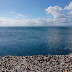 東二見の飲ませ釣り